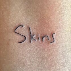 Cover of Skins
