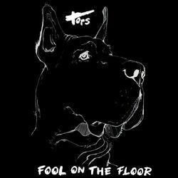 Cover of Fool on the Floor
