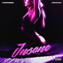 Cover of Insane