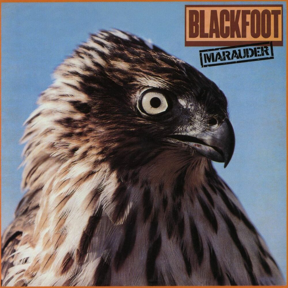 Picture of Marauder