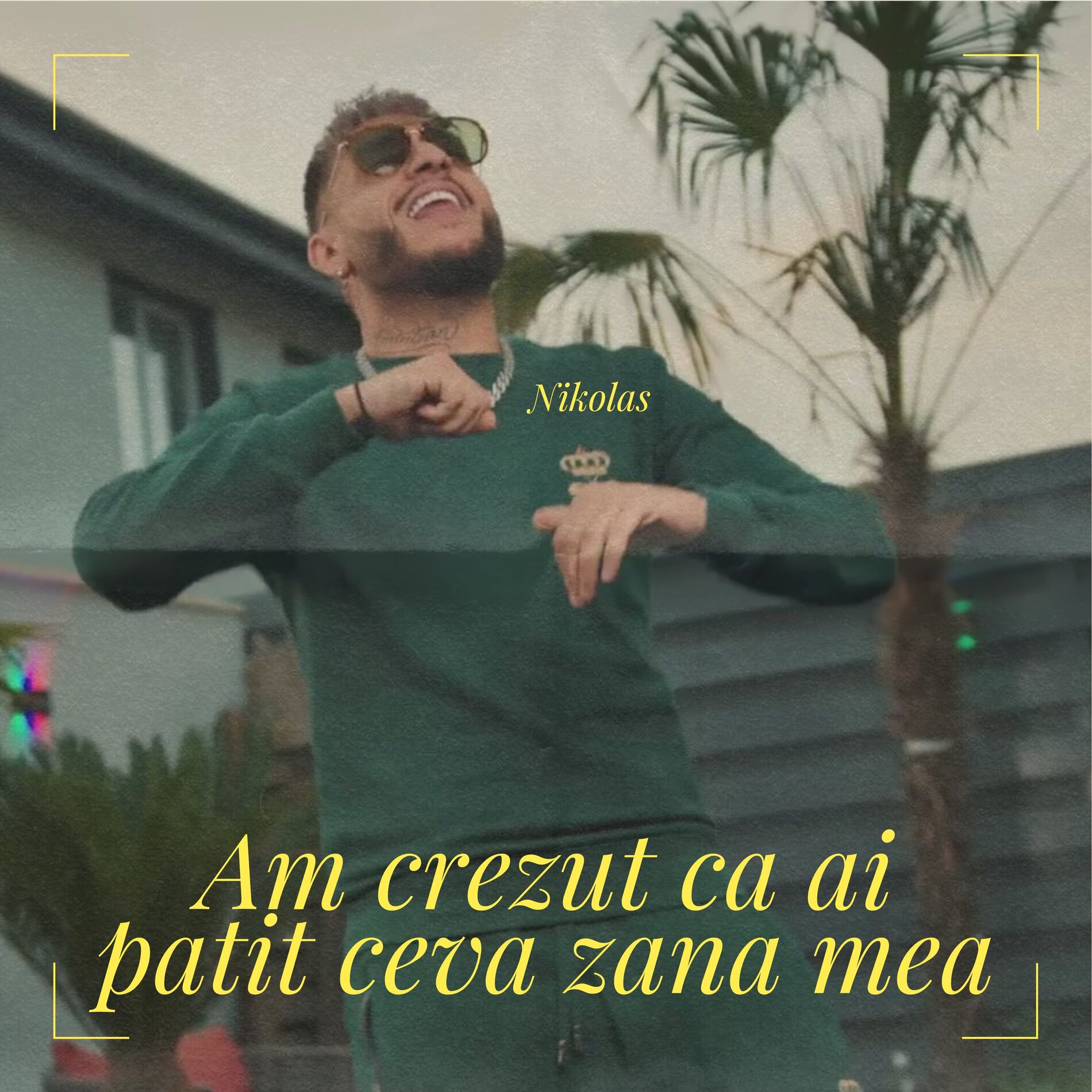 Album cover of Am crezut ca ai patit ceva zana mea