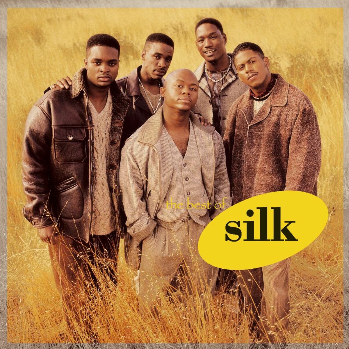 Album cover of The Best of Silk
