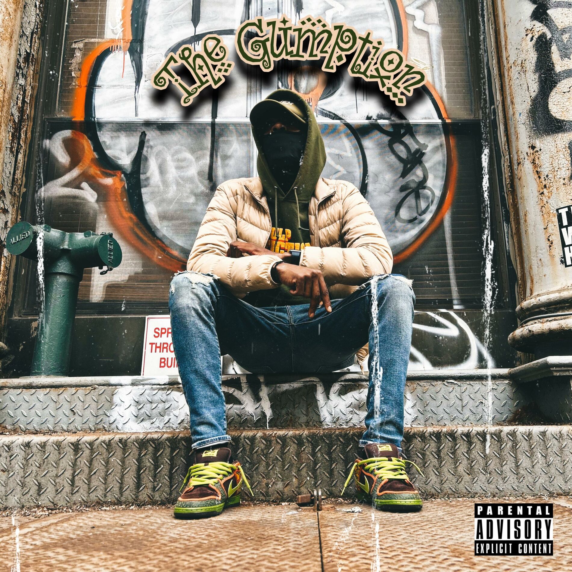 Album cover of The Gumption