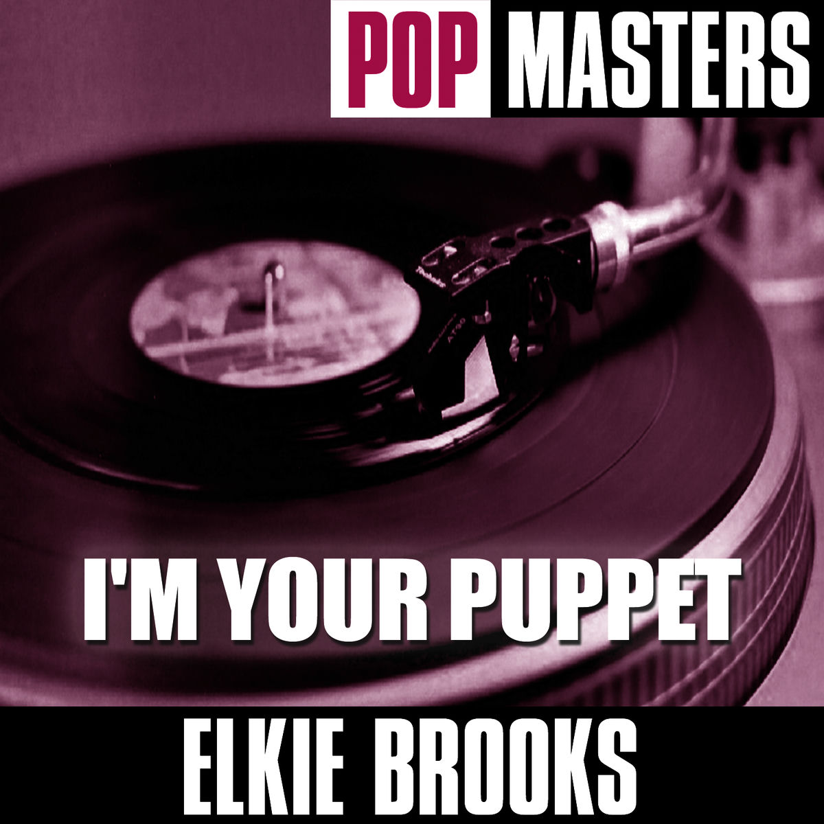 Album cover of Pop Masters: I'm Your Puppet