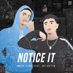 Cover of Notice It