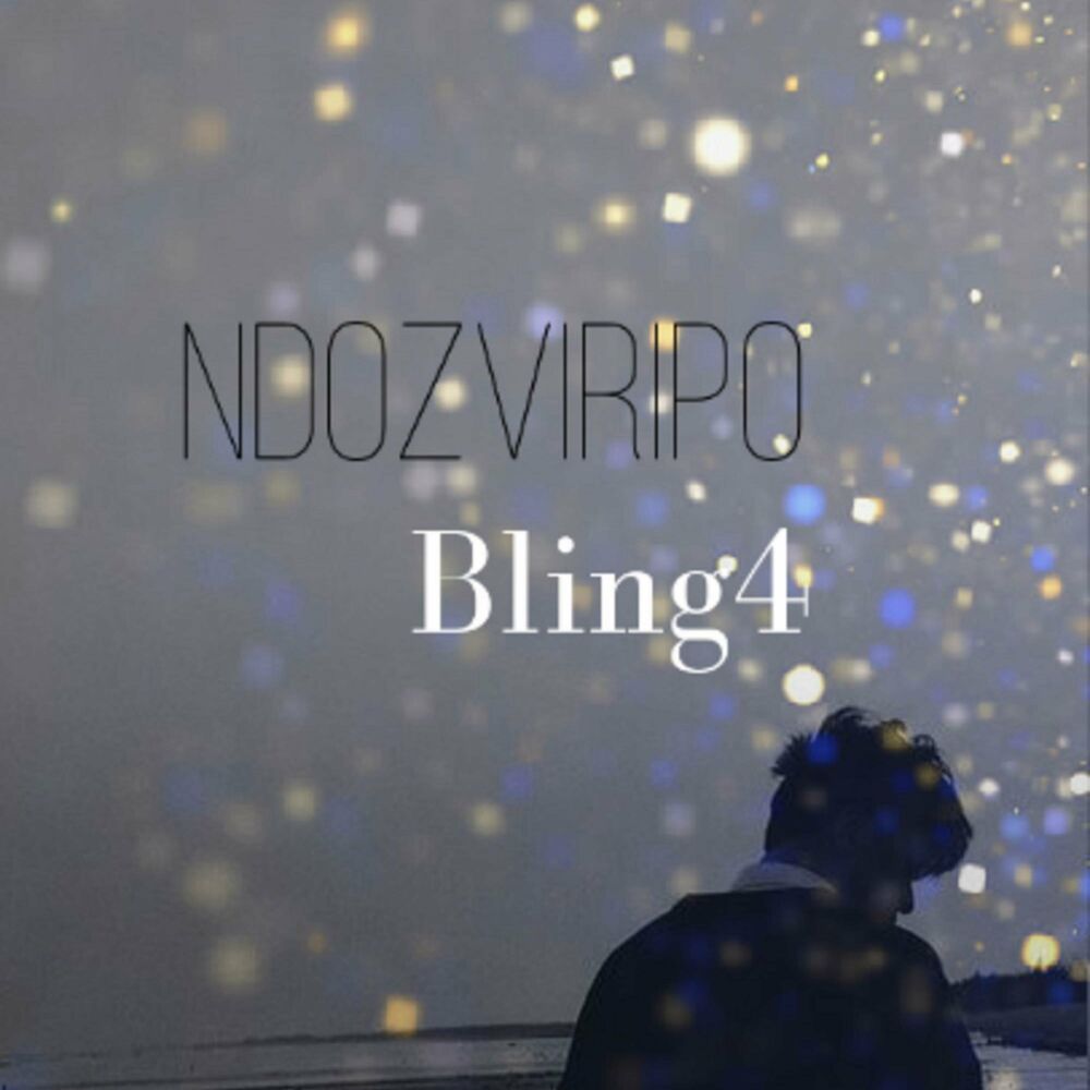 Picture of Ndozviripo