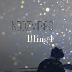 Cover of Ndozviripo