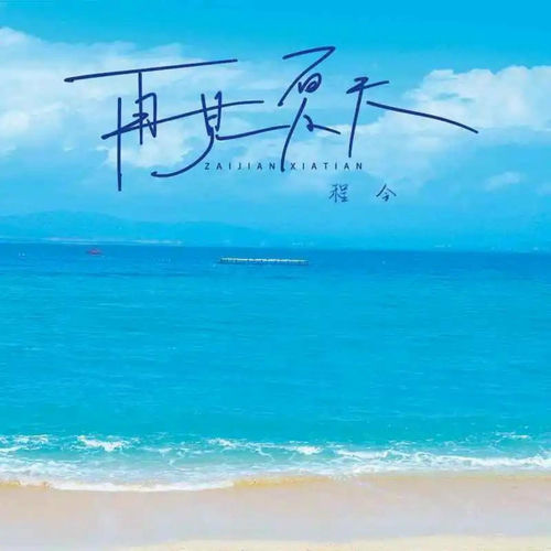 再见夏天 (DJ版)