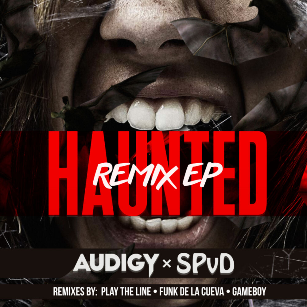 Picture of Haunted Remix EP