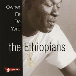 Cover of Owner Fe De Yard