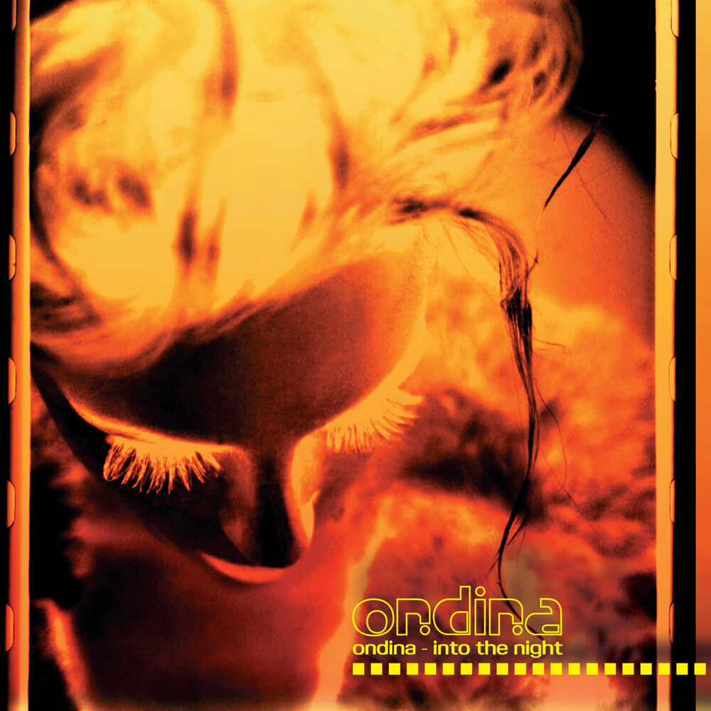 Picture of Into the Night