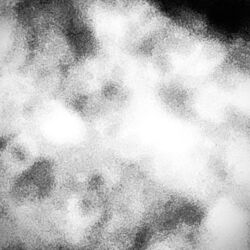 Cover of Washed In Blood