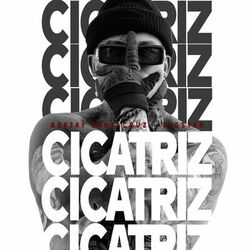 Cover of Cicatriz