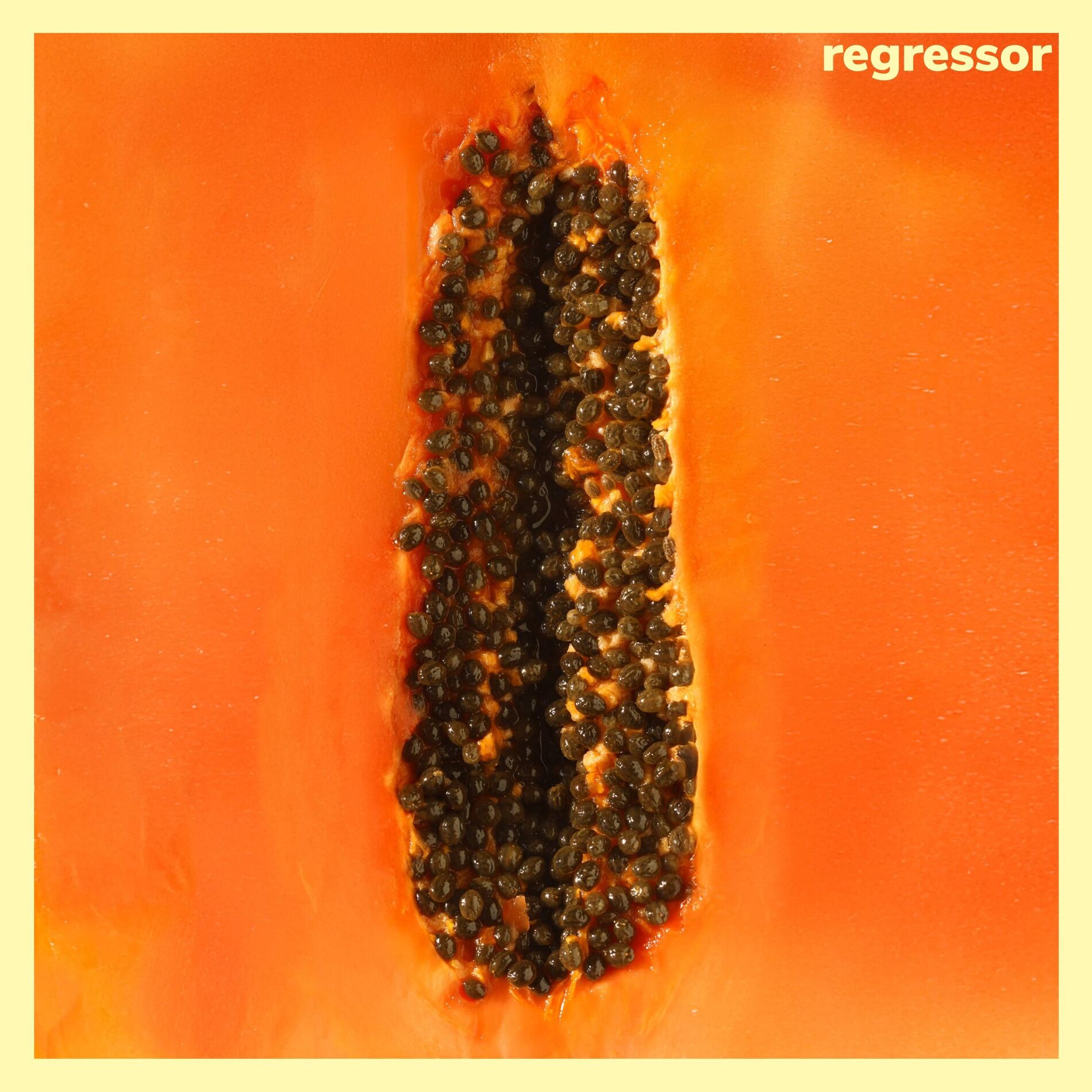 Album cover of HONEY BOMB (feat. Jakub Zytecki)