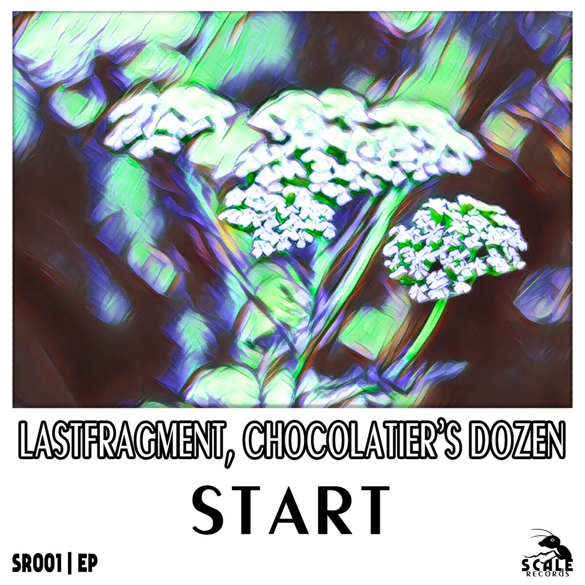 Album cover of Start