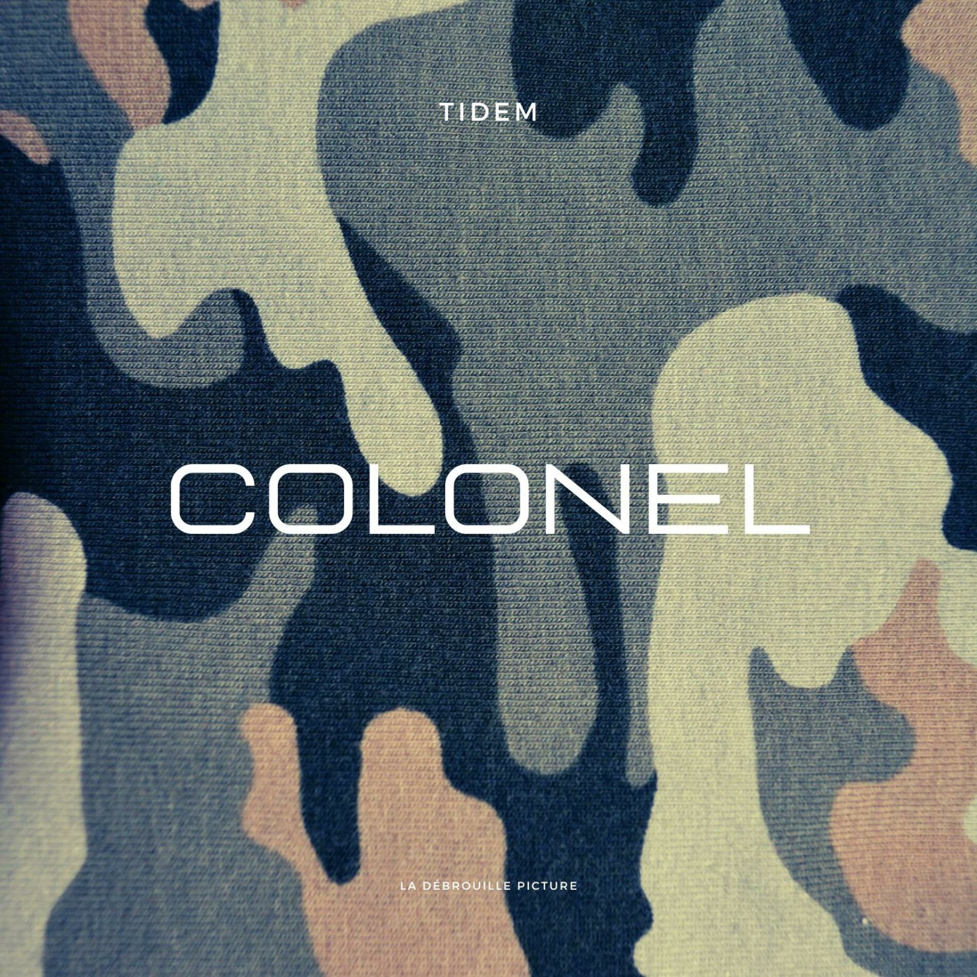 Album cover of Freestyle Colonel