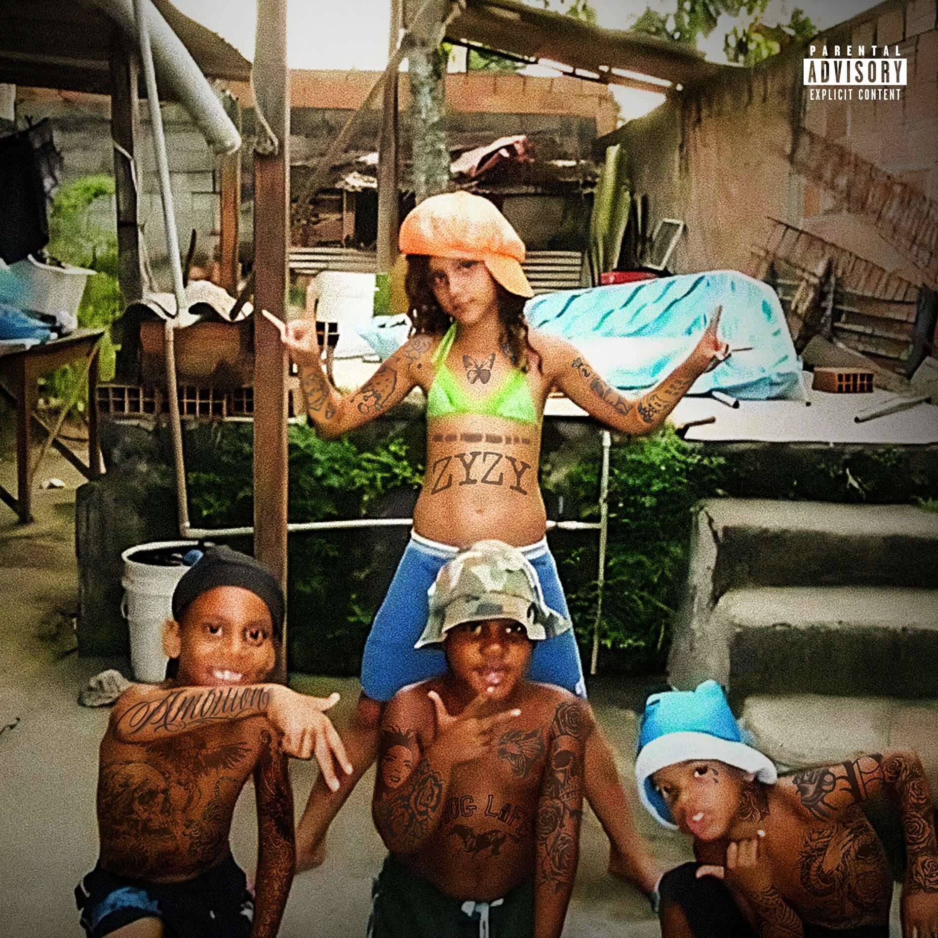 Album cover of ZyZy