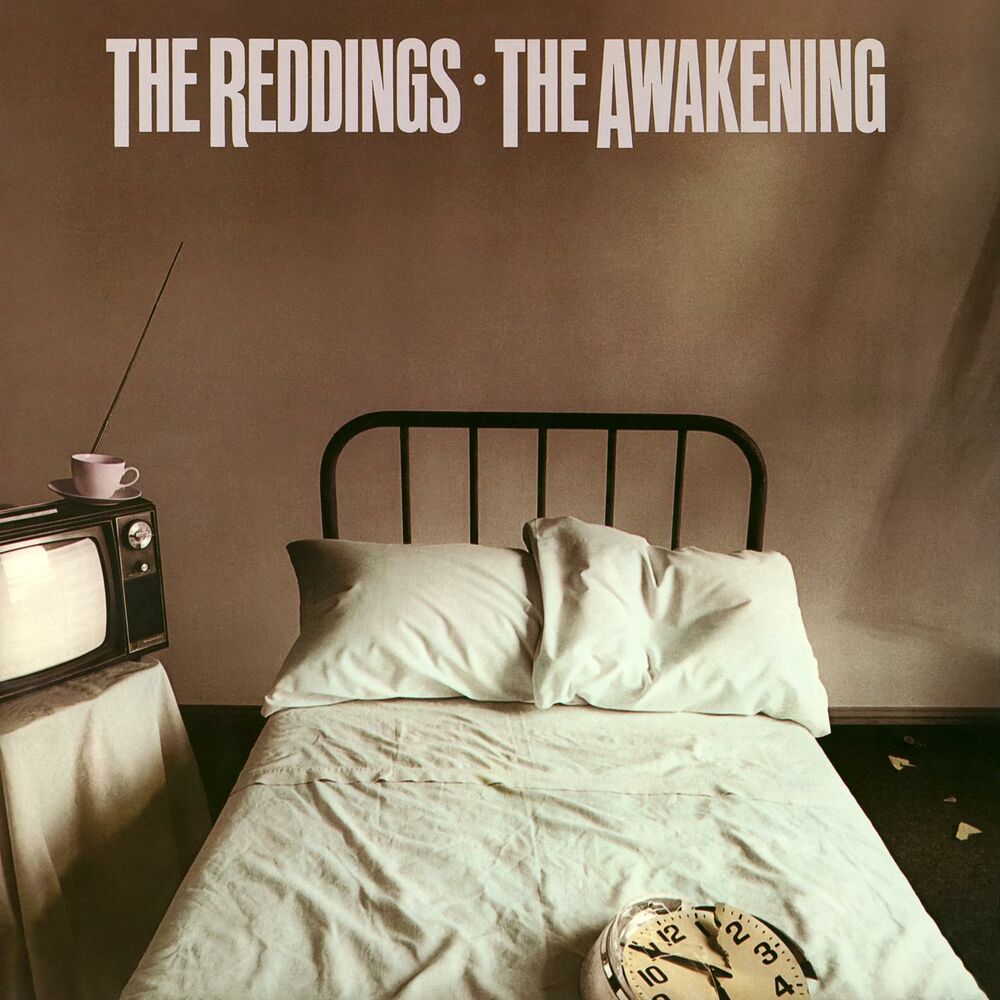 Picture of The Awakening