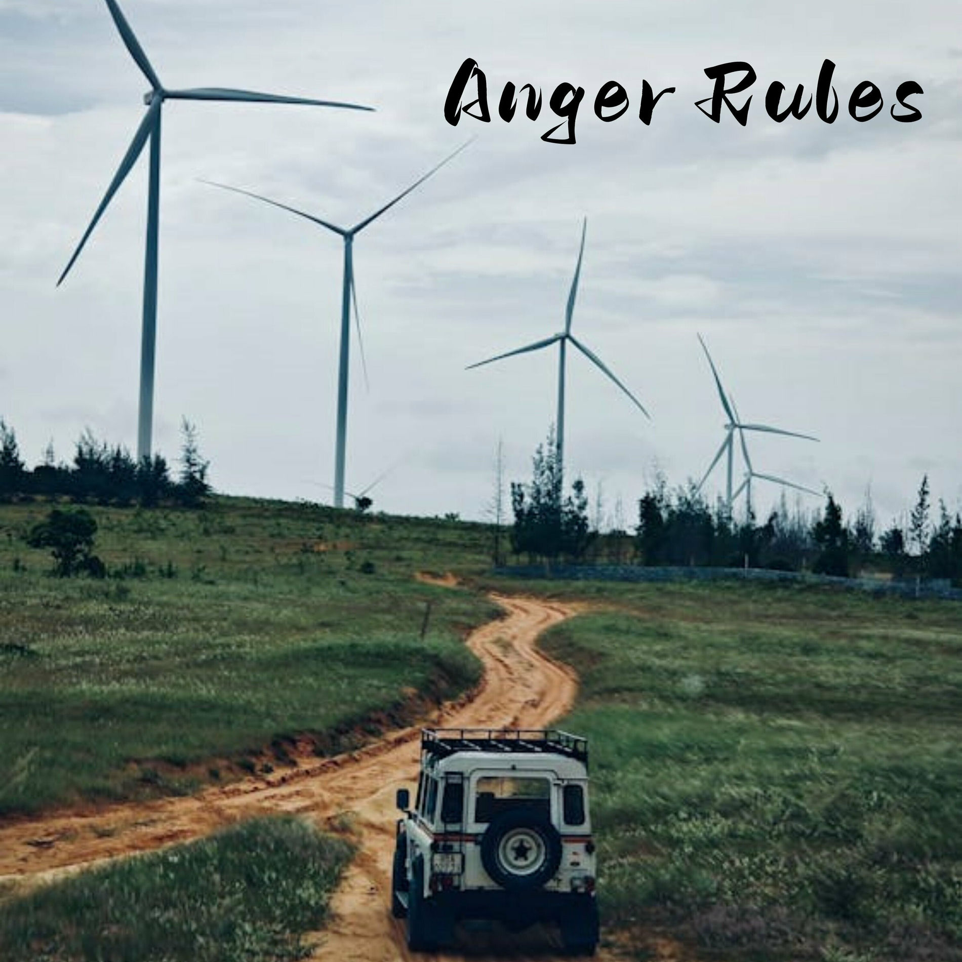 Album cover of Anger Rules