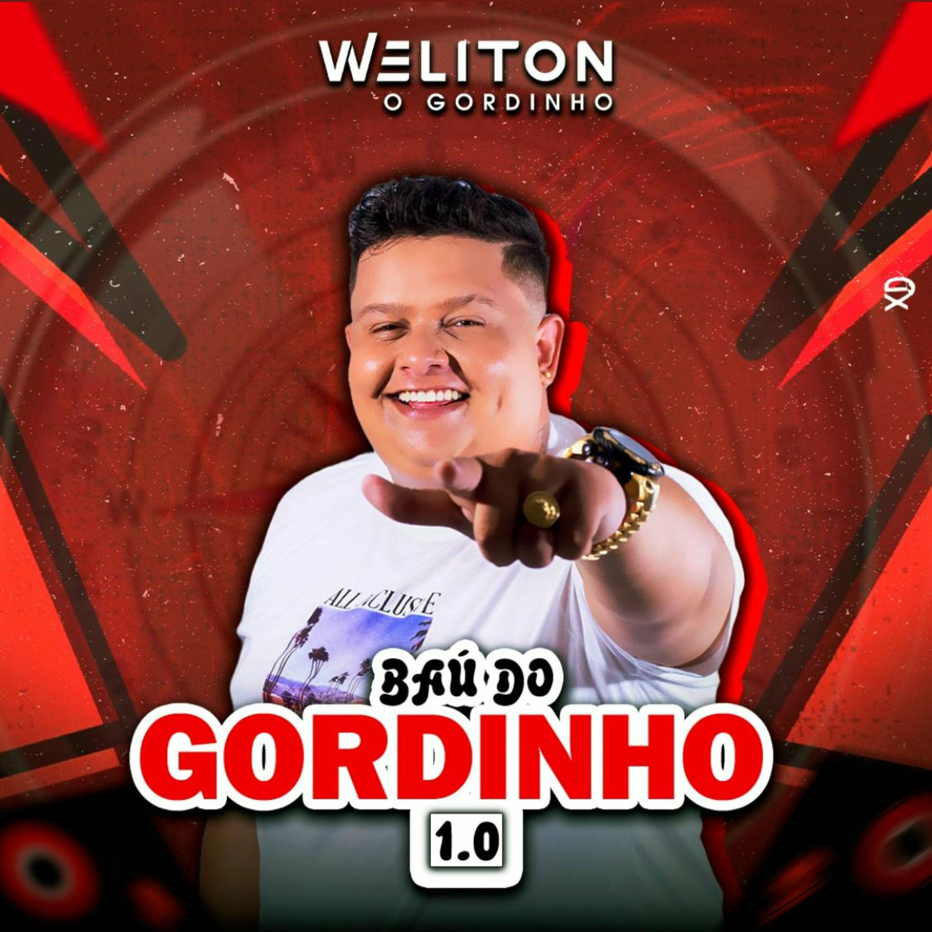 Album cover of Baú do Gordinho 1.0