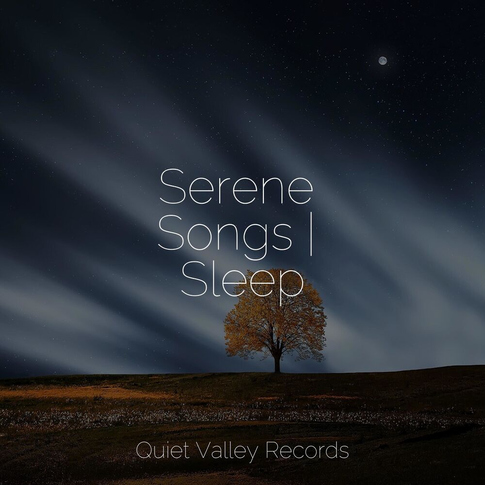 Picture of Serene Songs | Sleep