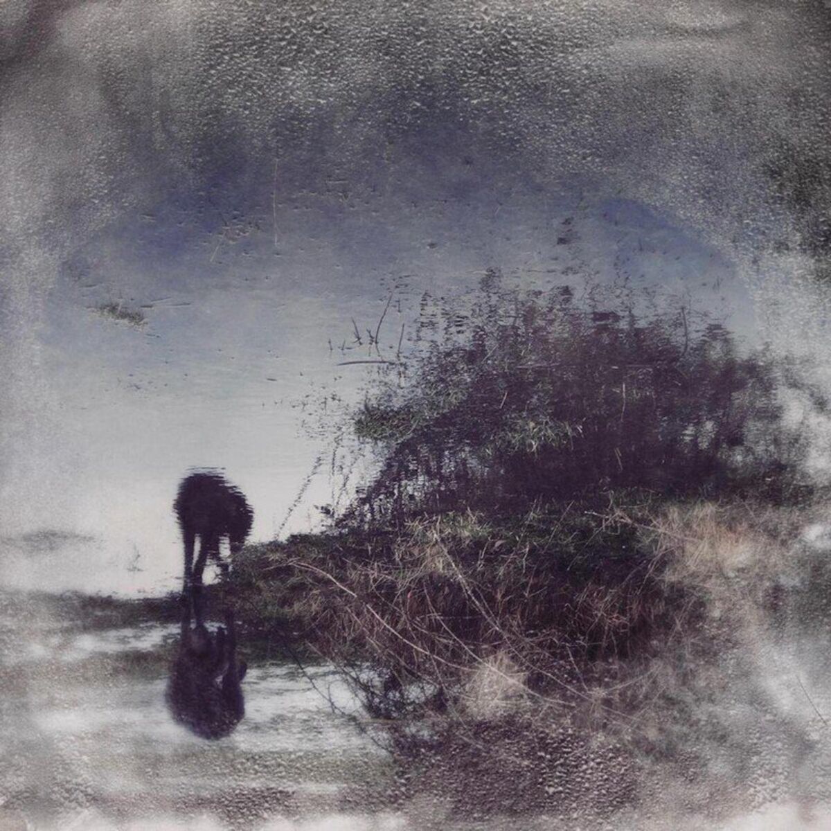 Album cover of Flux & Contemplation - Portrait of an Artist in Isolation