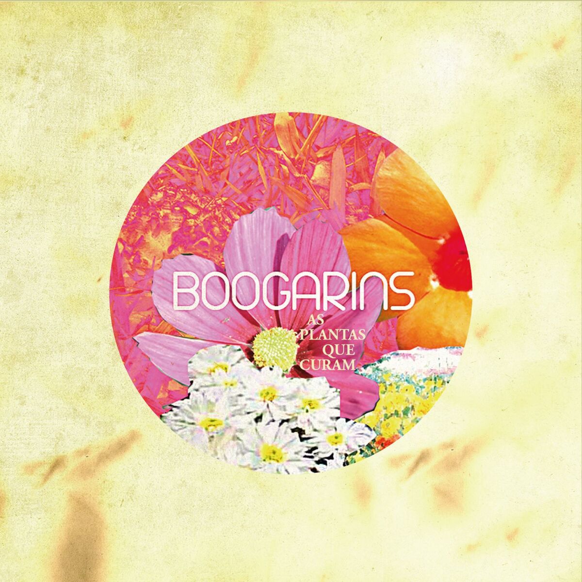 Album cover of As Plantas Que Curam