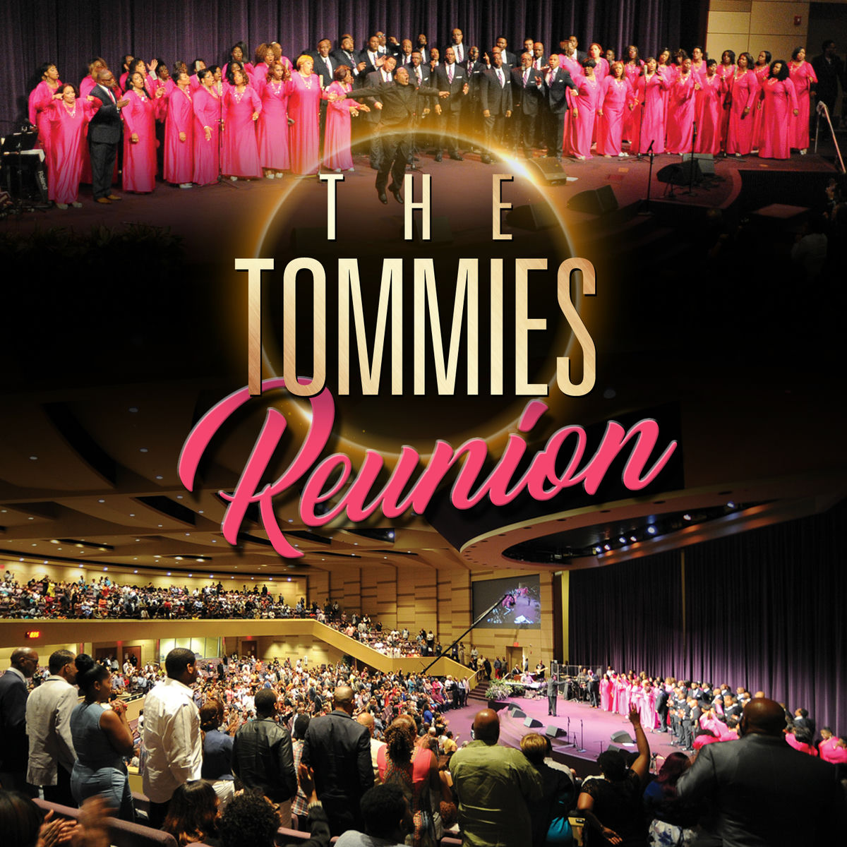 Album picture of The Tommies Reunion (Live)