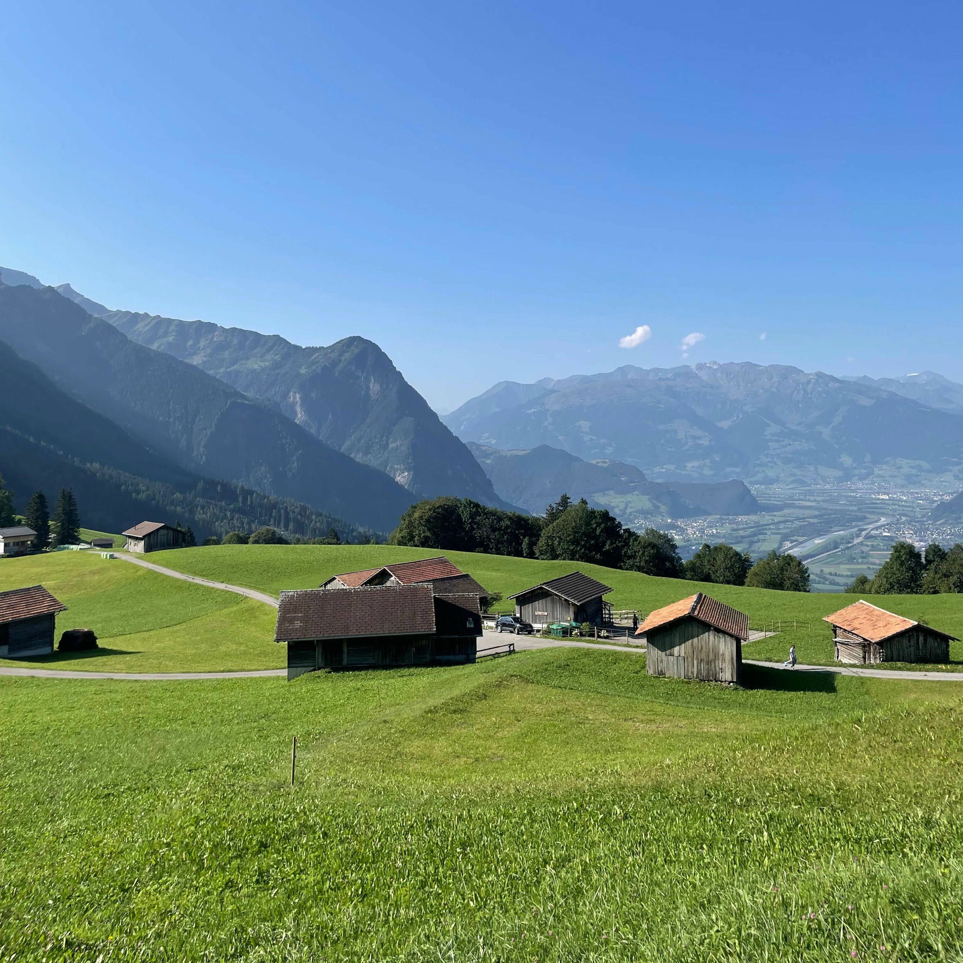 Album cover of F. LIECHTENSTEIN