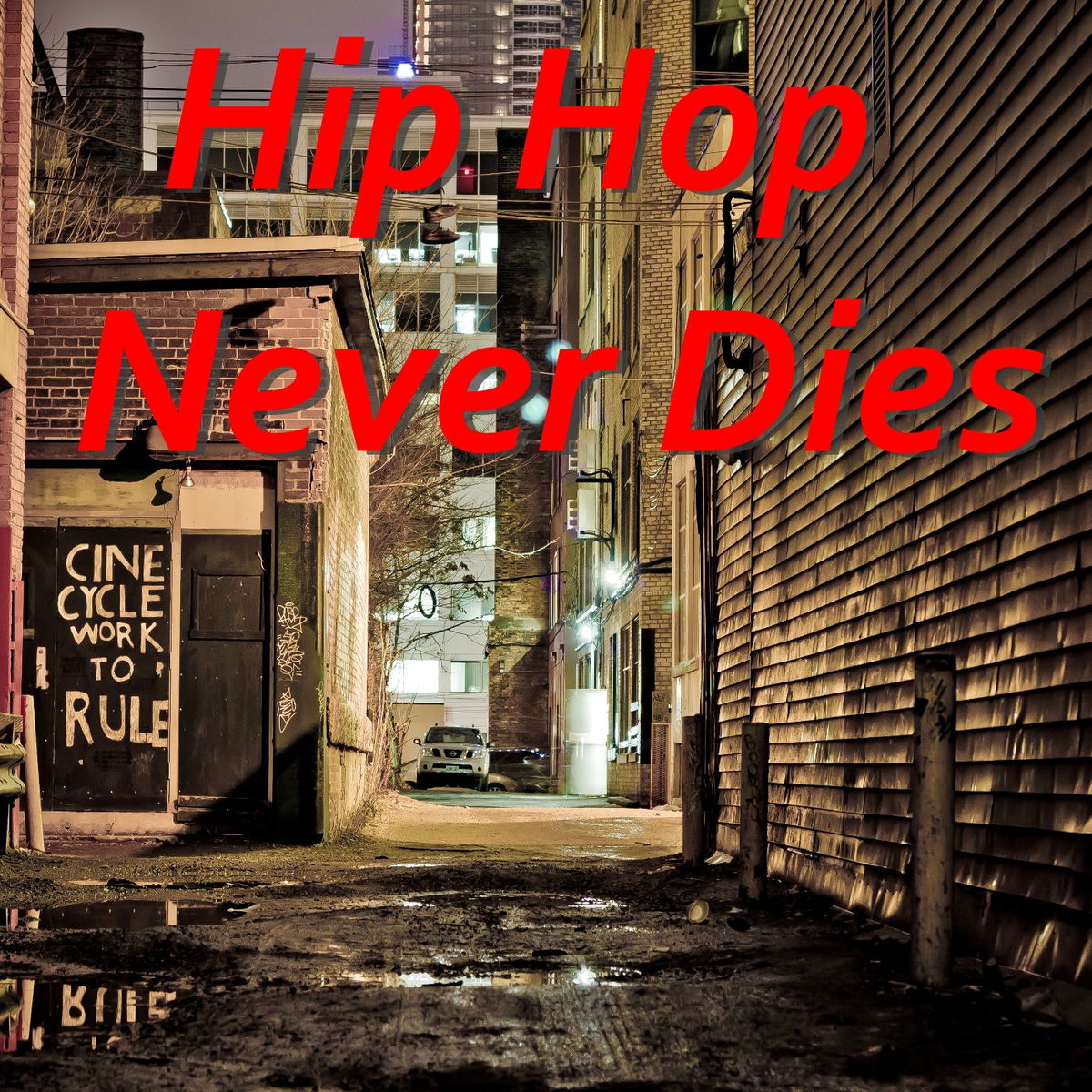 Album cover of Hip Hop Never Dies