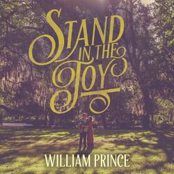 Cover of Stand in the Joy