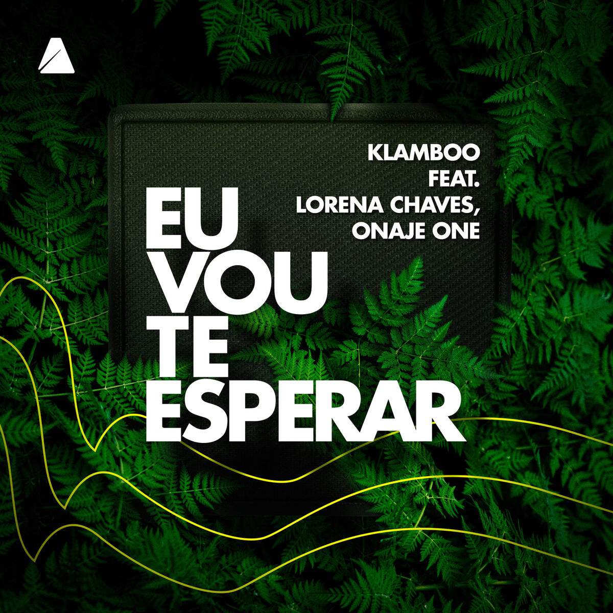 Album cover of Eu Vou Te Esperar