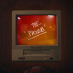 Cover of The Process