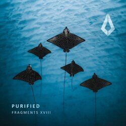 Cover of Purified Fragments XVIII