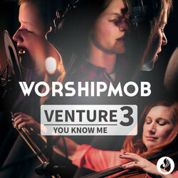 Cover of Venture 3: You Know Me