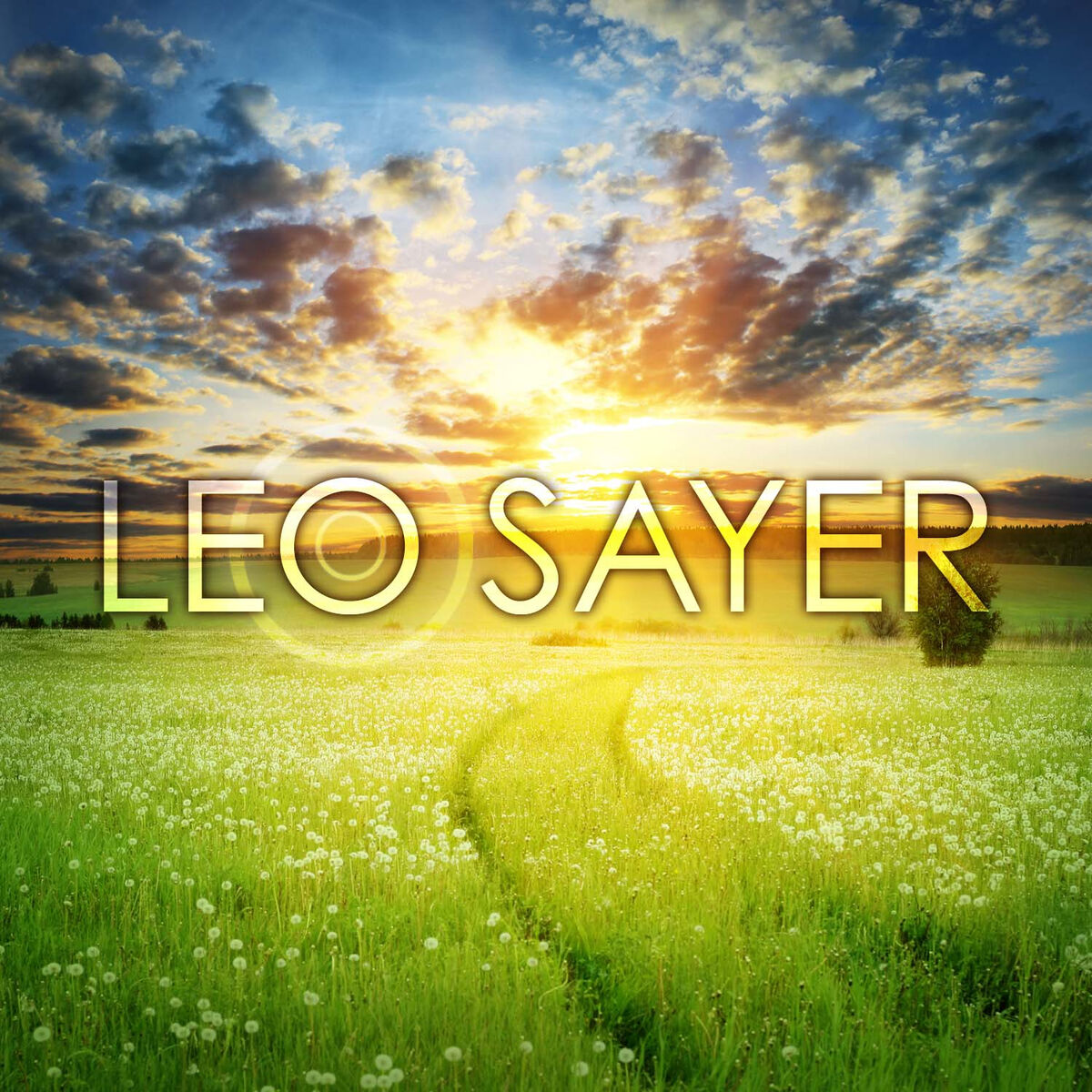 Album cover of Leo Sayer (Live)