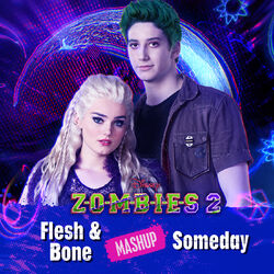 Cover of Flesh & Bone/Someday Mashup