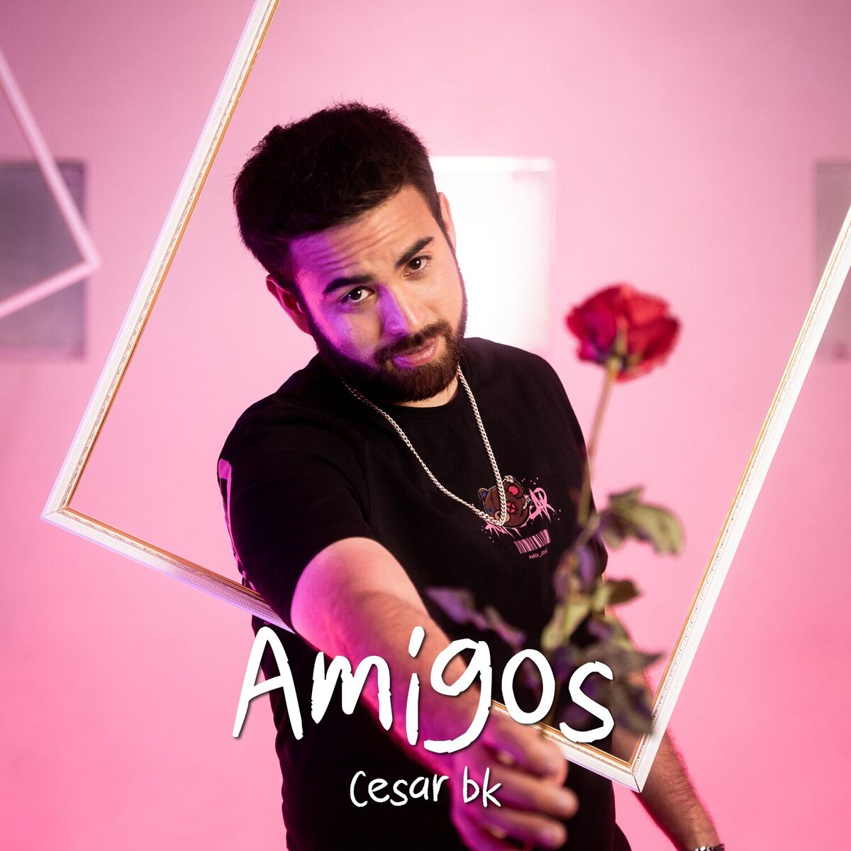 Album cover of Amigos