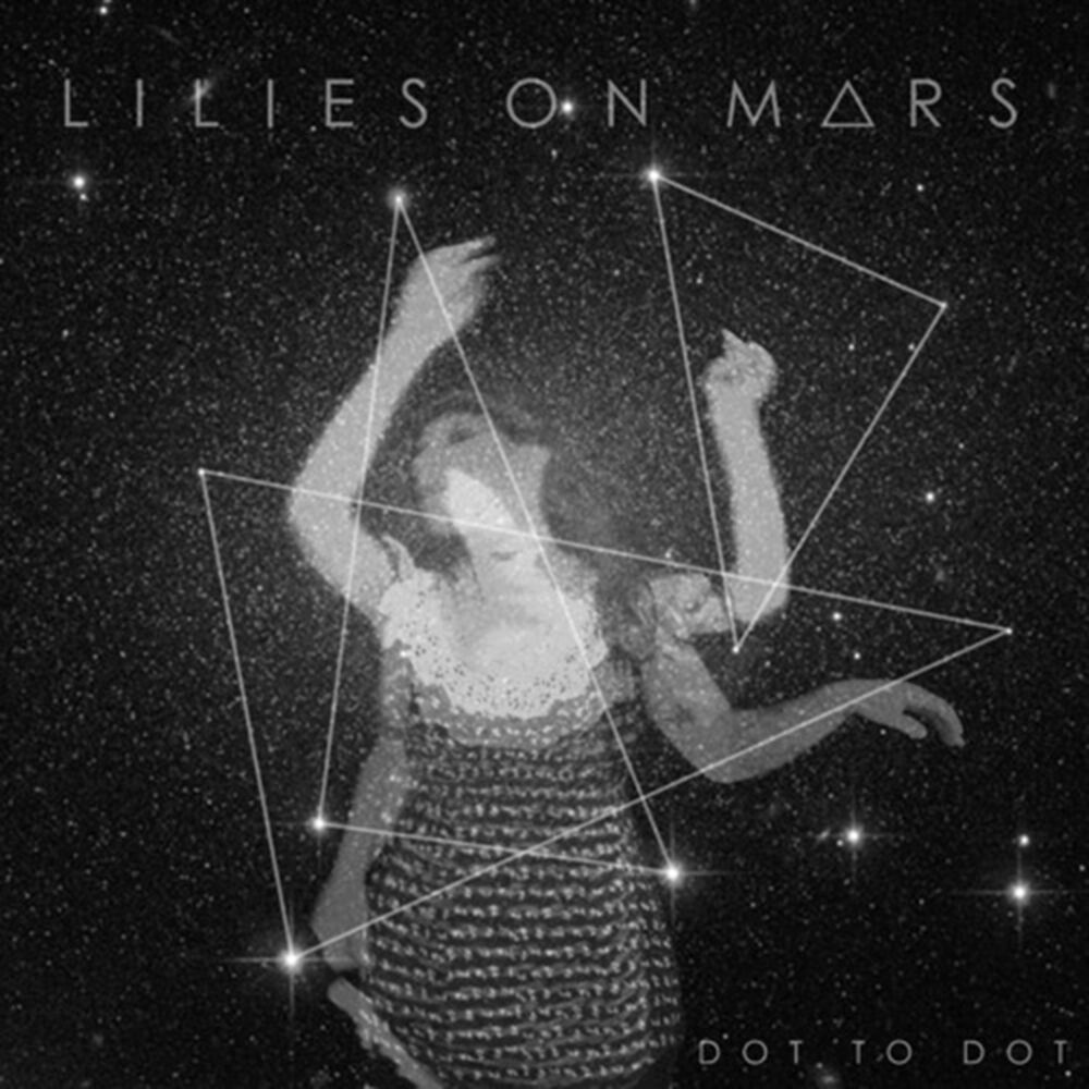 Picture of Dot to Dot