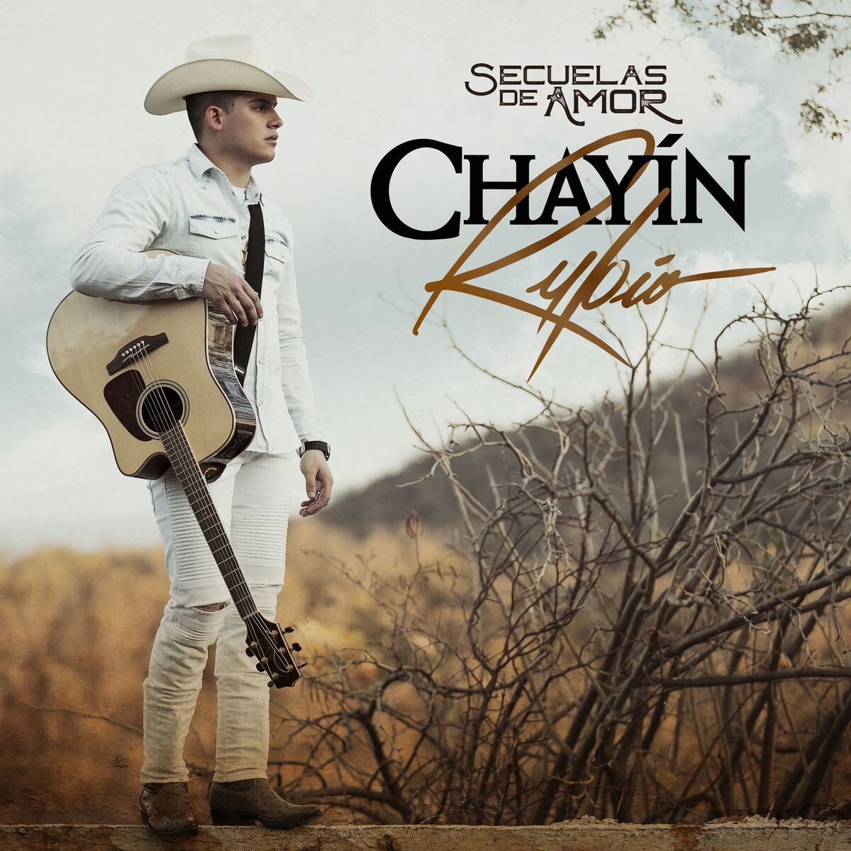 Album cover of Secuelas De Amor