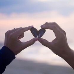 Cover of Je T'aime