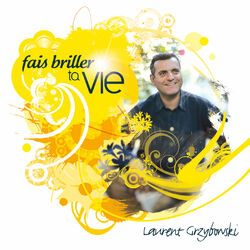 Cover of Fais briller ta vie