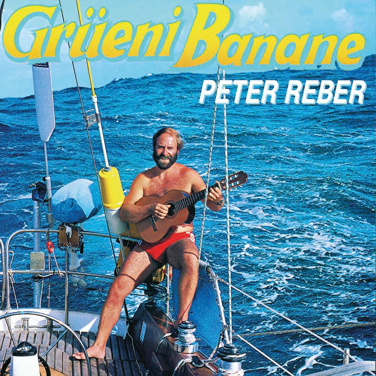 Album cover of E Vogel ohni Flügel