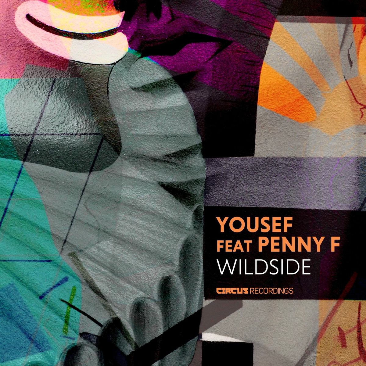 Album cover of Wildside
