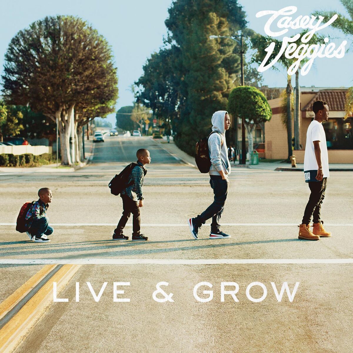 Album cover of RIP (feat. Tyler, The Creator)