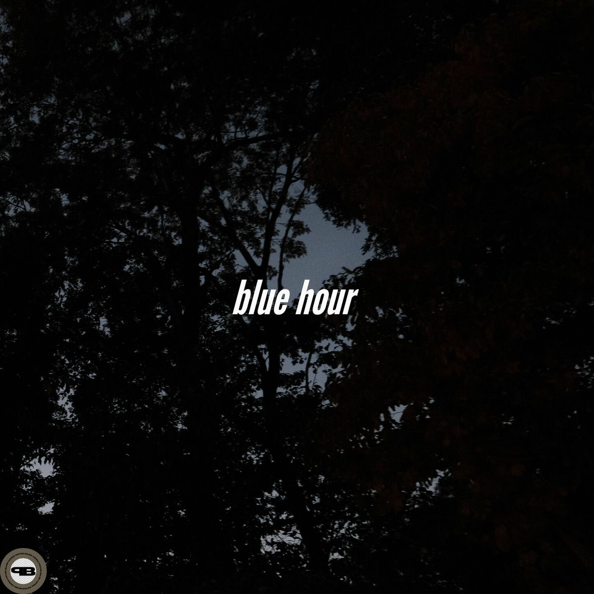 Album cover of blue hour