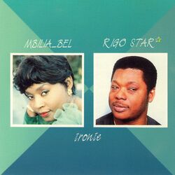 Cover of Ironie