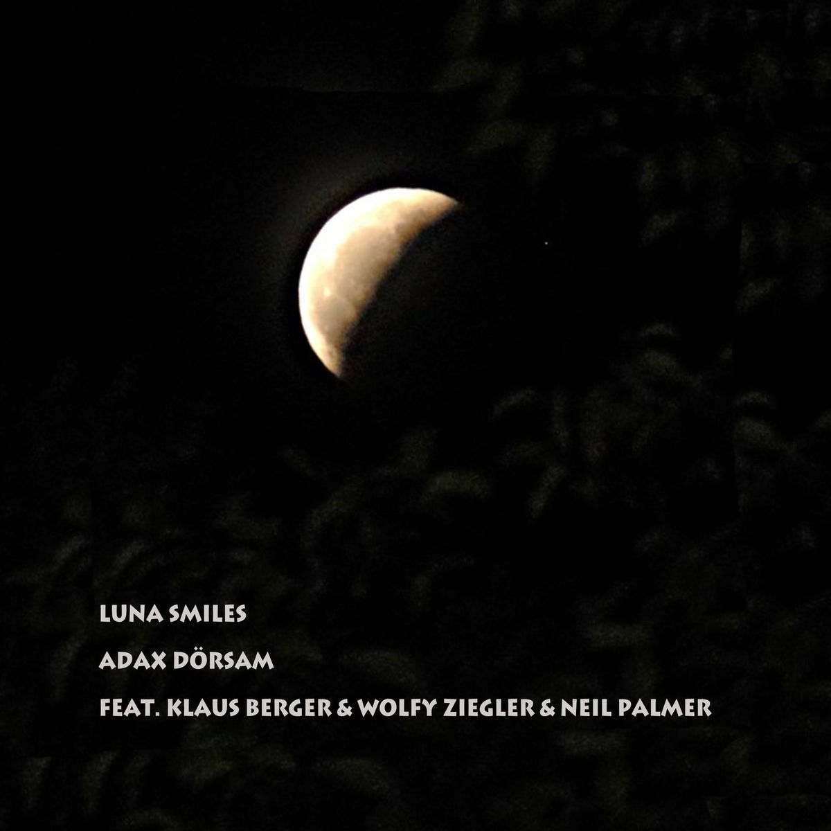 Album cover of Luna Smiles