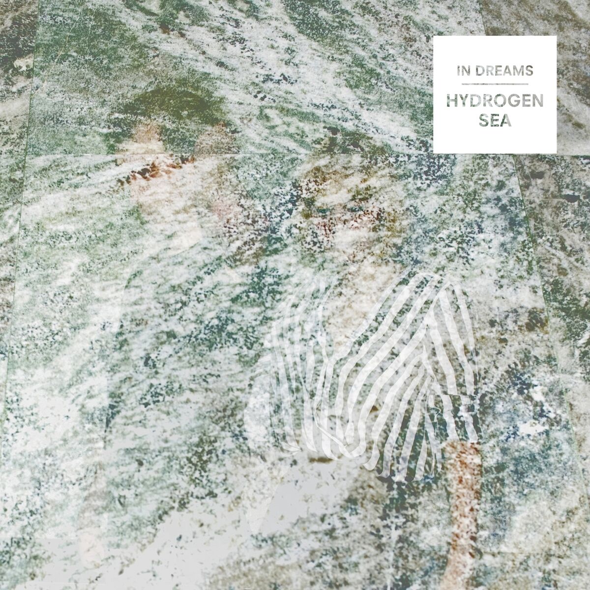 Album cover of In Dreams