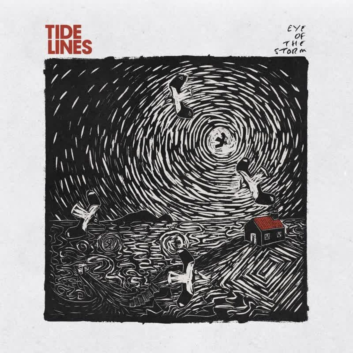 Album cover of Shadow to the Light
